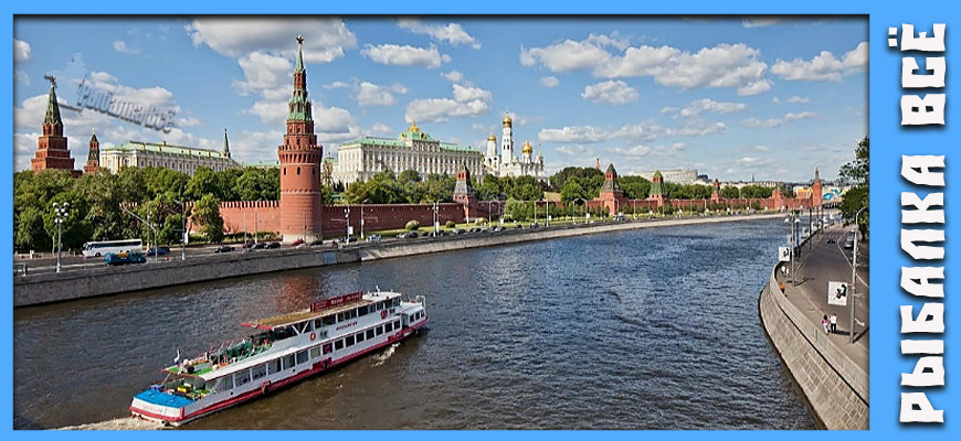 Правда ли Москва-река такая грязная? Разбираем мифы и реальность