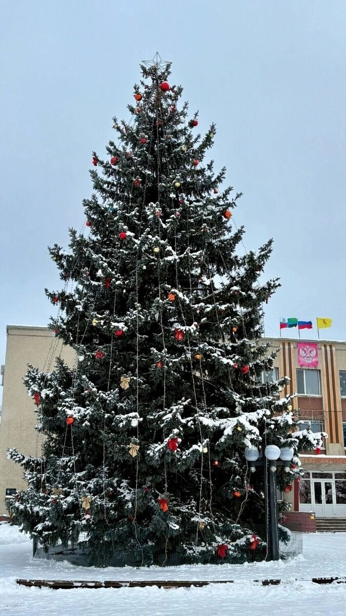    Ёлка в Волоконовке   Елена Прудникова