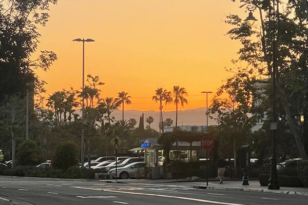 Из личного архива Евгения Вдовина   📷