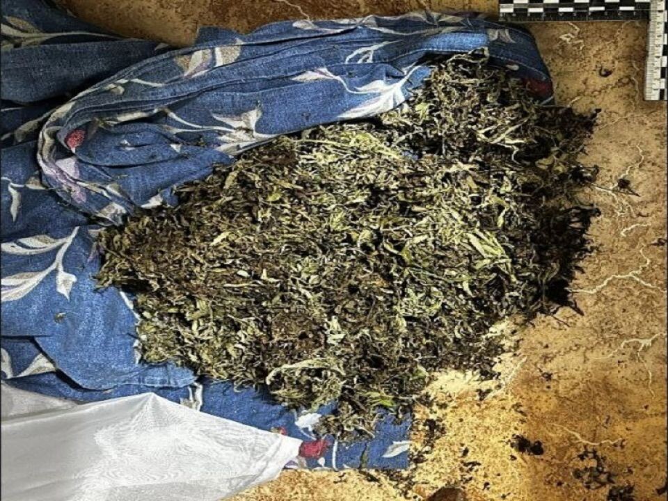    Женщина сама обратилась в полицию, после чего в ее квартире провели обыск. Источник: ГУ МВД по Алтайскому краю