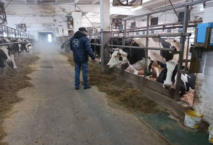 фото: @lenoblast_online