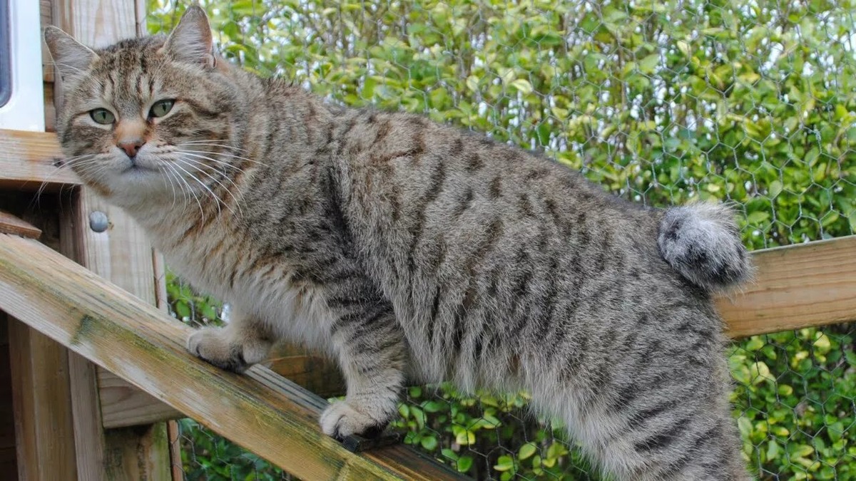 Фотография из интернета