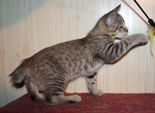 Фотография из интернета