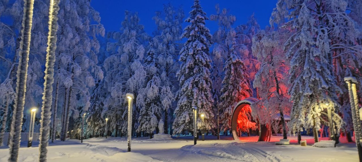Зима в нашем парке.