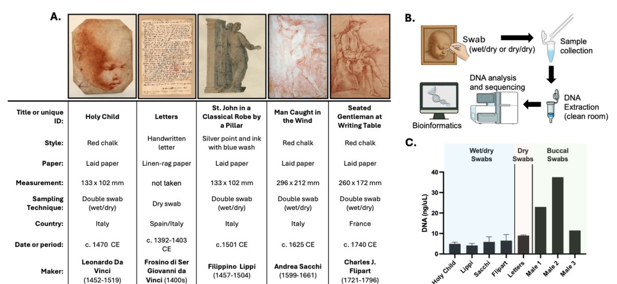    Все эти образцы были взяты на анализ для выявления генетического материала. Источник изображения: popsci.com
