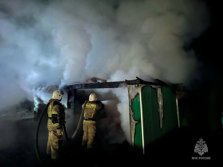    Фото: Пресс-служба ГУ МЧС России по Забайкальскому краю