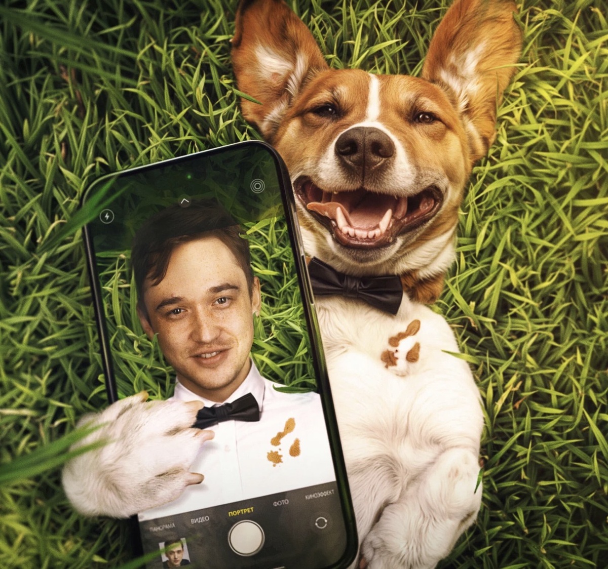 Постер: Кинопоиск 