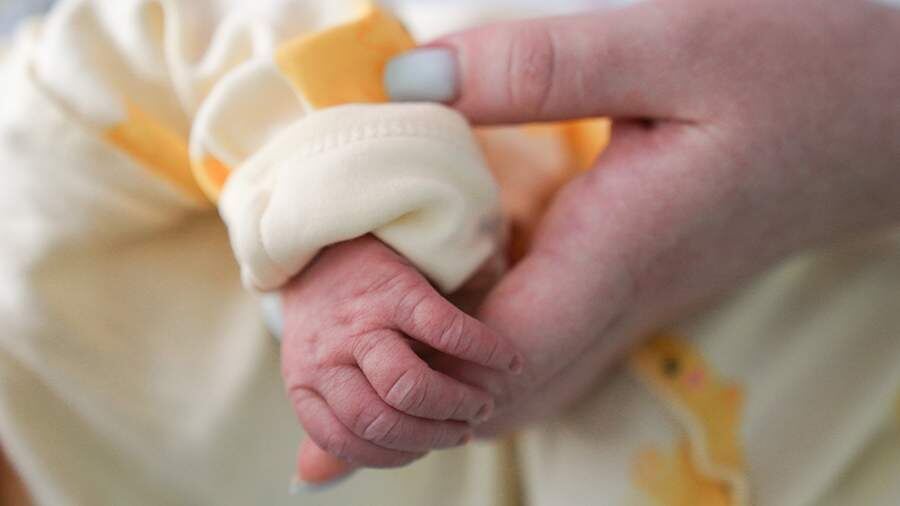    Фото: ИЗВЕСТИЯ/Анна Селина