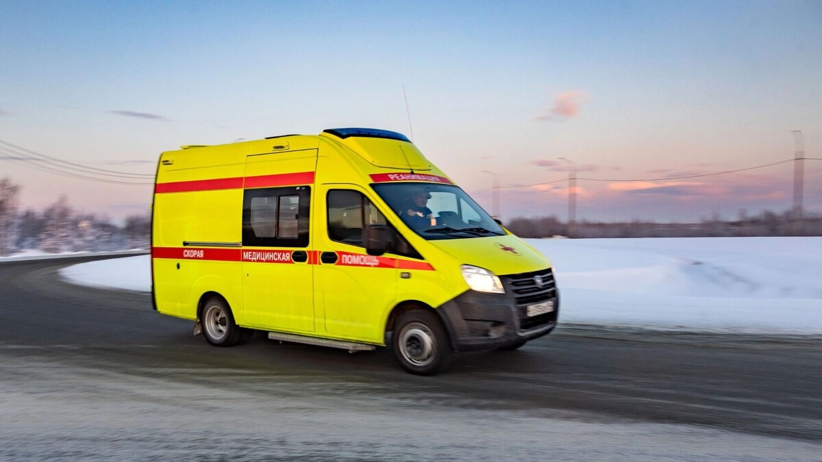    Фото: Федор Воронов / «Ямал-Медиа»