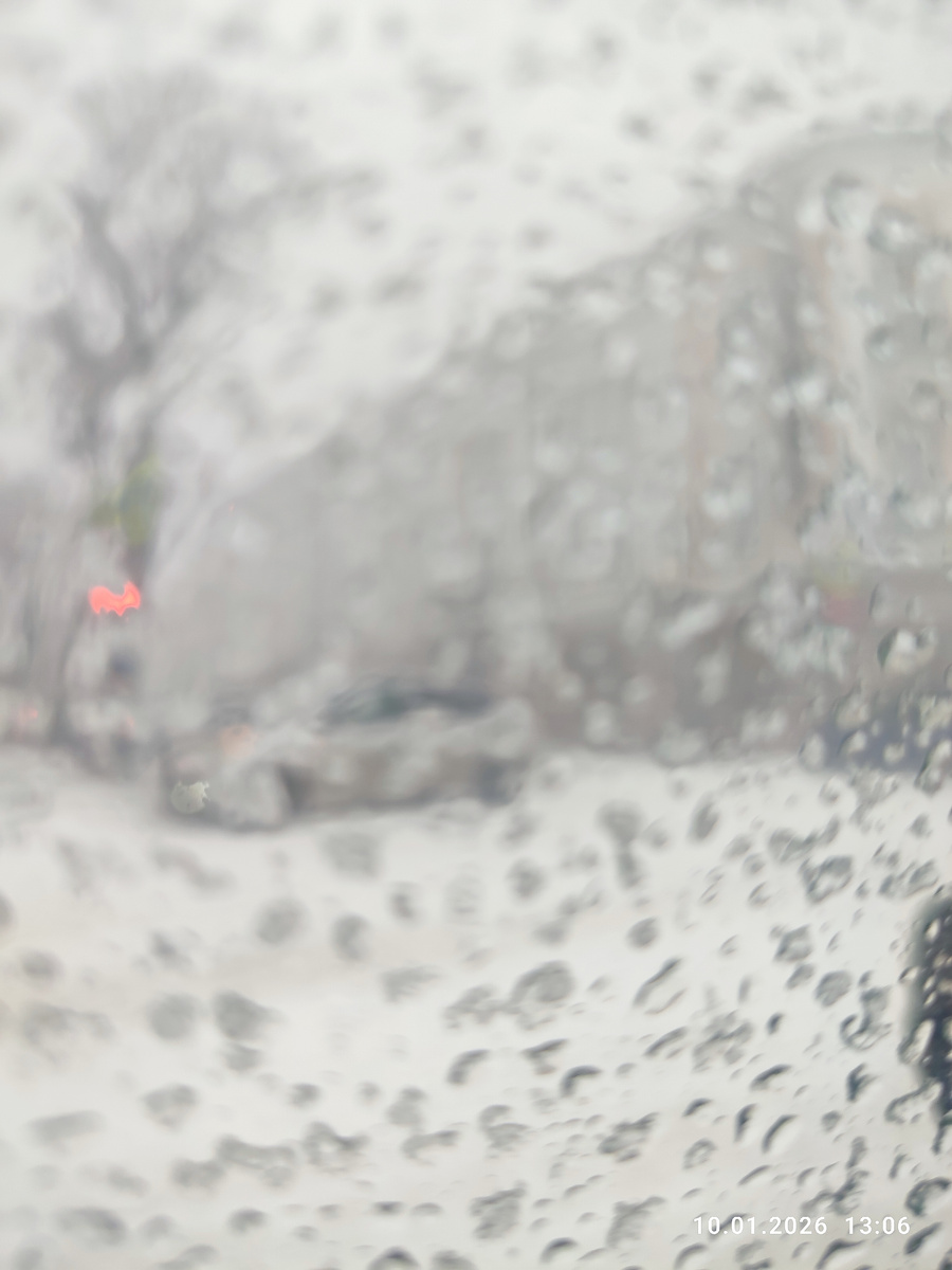 Фото автора.