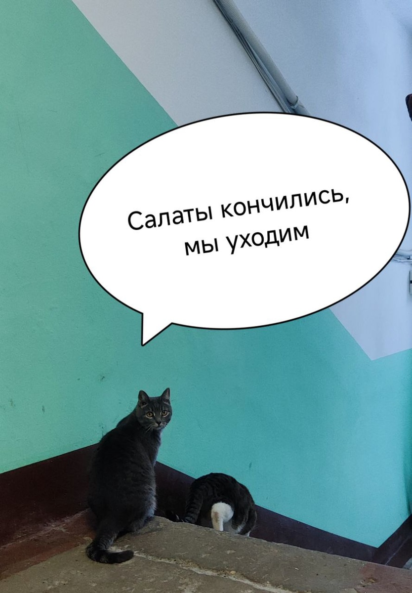 Каникулы кончились