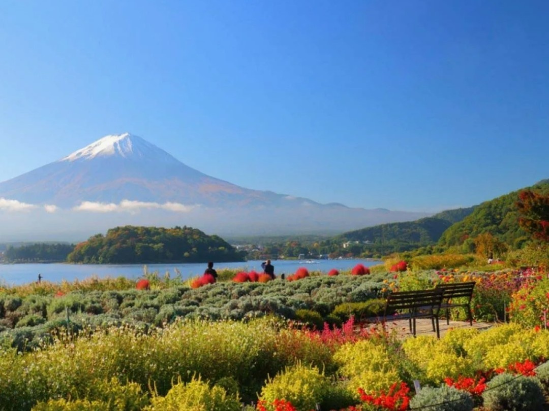 Парк Оиши (Oishi Park)