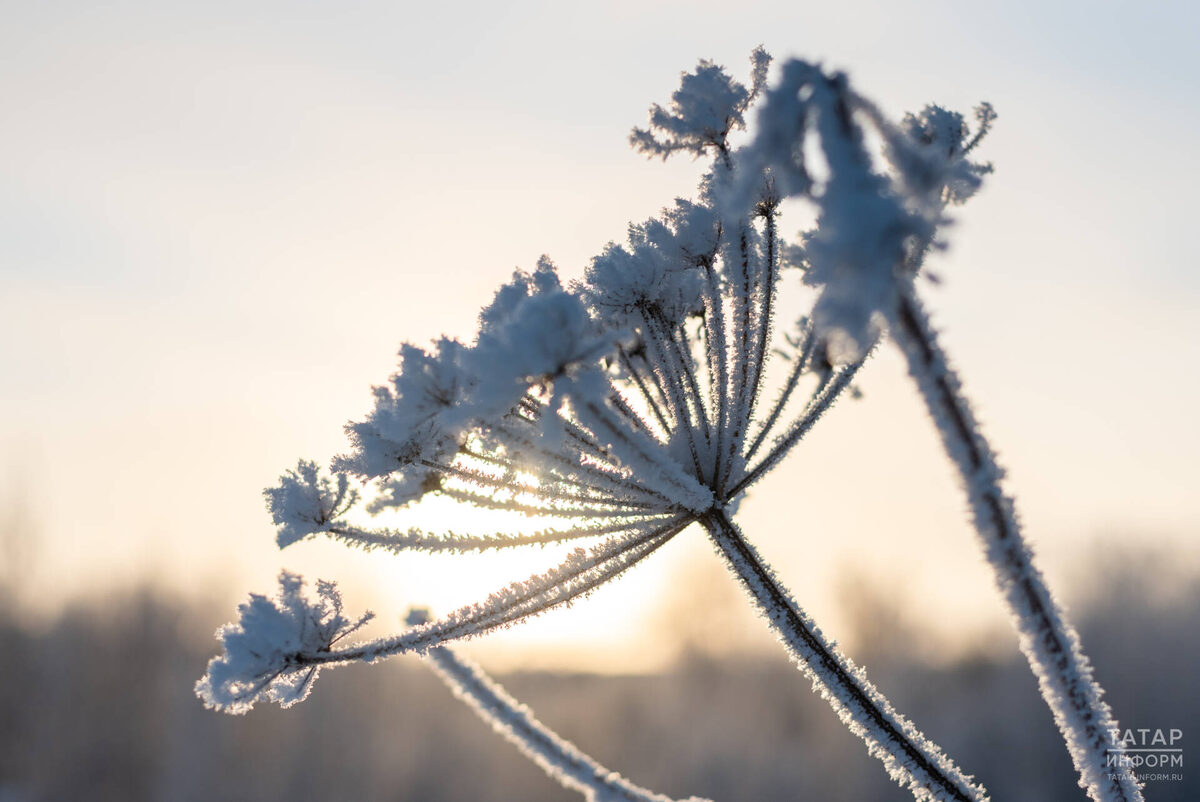 Фото: © Владимир Васильев / «Татар-информ»