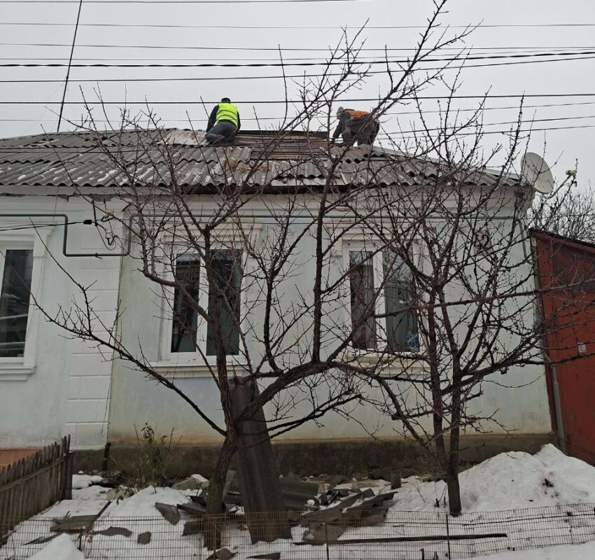    Фото: читательница «МОЁ!»