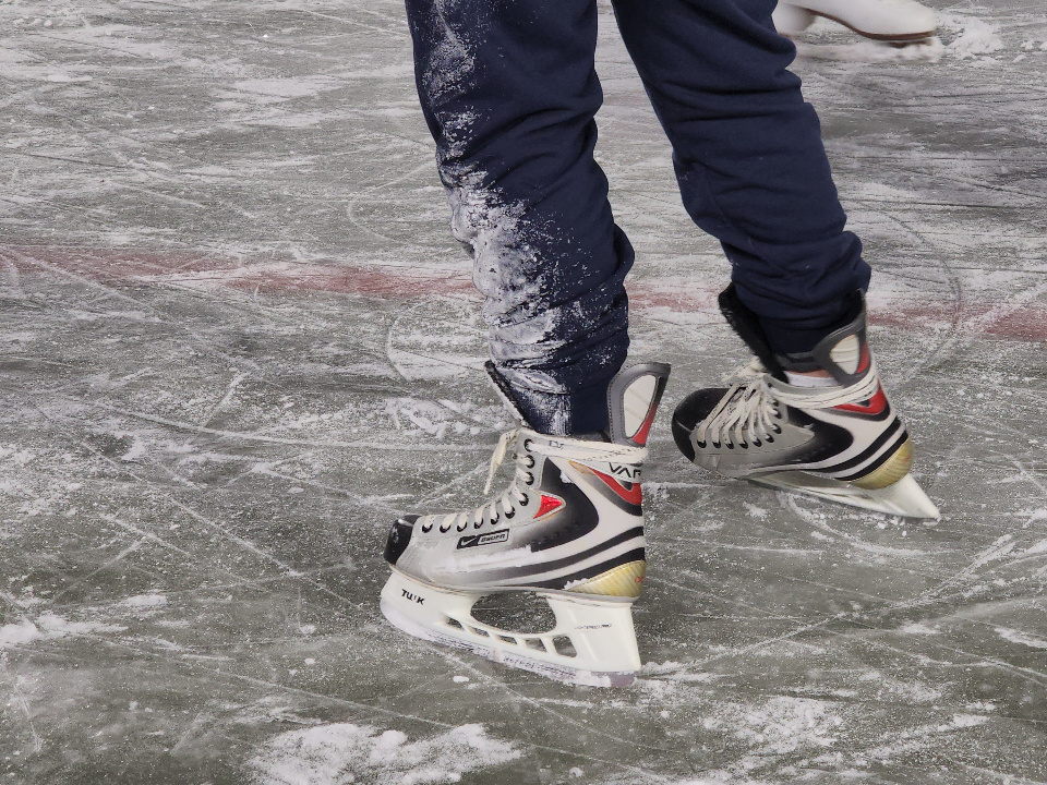    Фото: МедиаБанк Подмосковья/Артем Мишуков