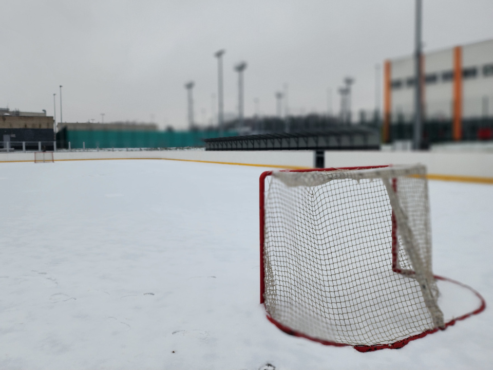     Фото: МедиаБанк Подмосковья/Роман Савельев