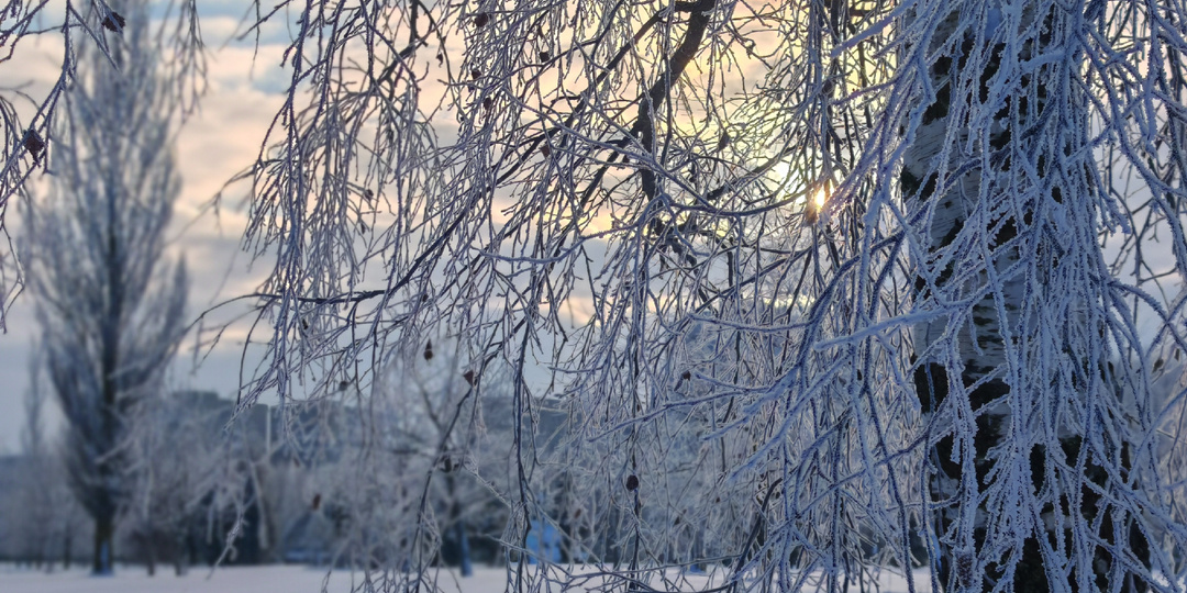 Про праздники, Буратино и возвращение в трудовые ряды
