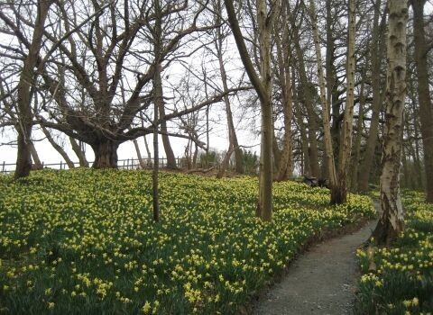 Уорли Плейс весной в наши дни