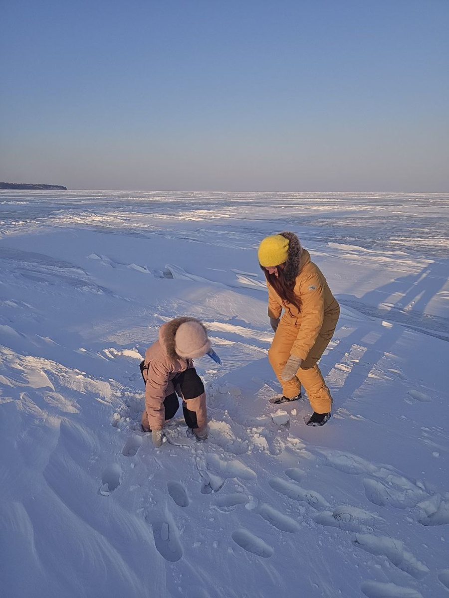 Наша снежная пустыня