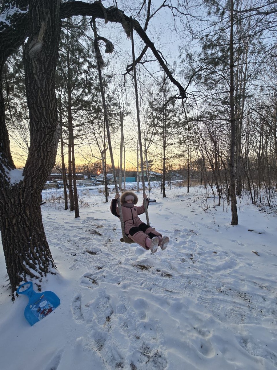 Качеля в лесном массиве. 