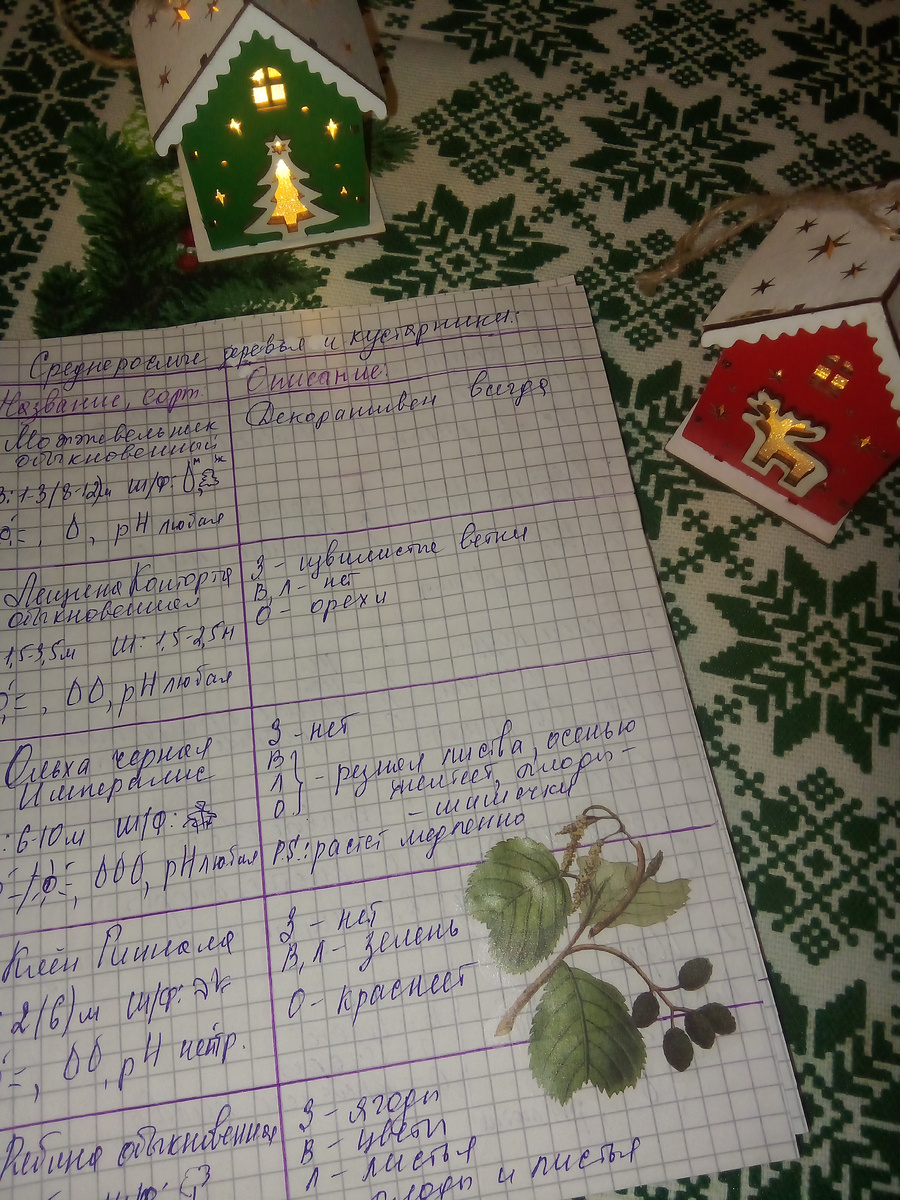 В статье все фото авторские