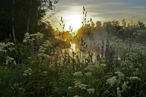 Картинка из интернета.