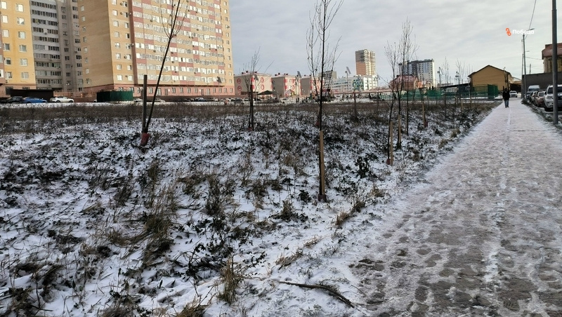    Как сейчас выглядит территория, где экоактивисты хотят создать сквер Фото: Личный архив автора инициативы Георгия Ляшова