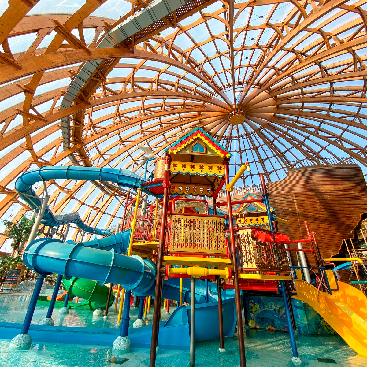 Высокий купол и корабль создают иллюзию, будто вы на тропическом острове, даже когда за окном балтийский ветер и слякоть. Фото: LapKat / Shutterstock / Fotodom