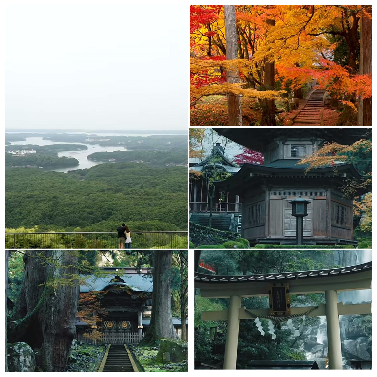 Отрывки взятые из открытых источников