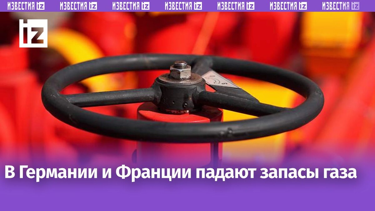 Фото: ИЗВЕСТИЯ/Дмитрий Коротаев