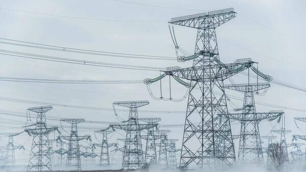    © Telegram главы Запорожской области Евгения Балицкого