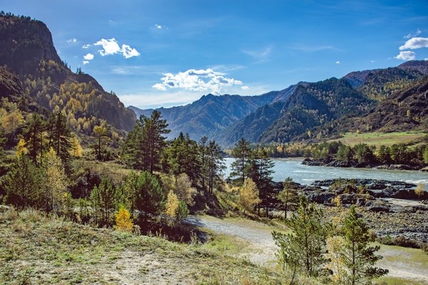 Ехать по дороге, останавливаться, смотреть по сторонам и так до бесконечности ... С Воскресением Вас!   

Осень, Алтай, Катунь, Чемальский тракт, у Еландинского порога ...   

  