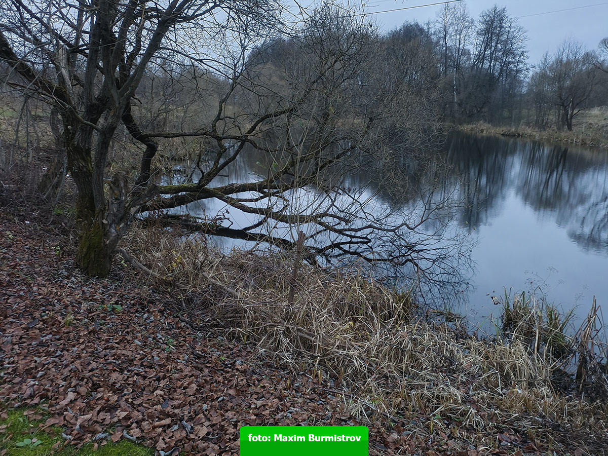 Так всё хорошо начиналось…