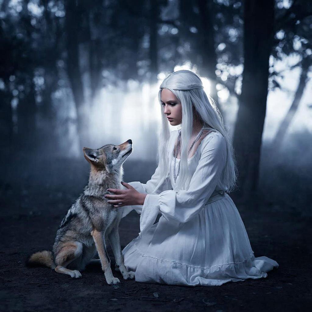 приласкай шакала))