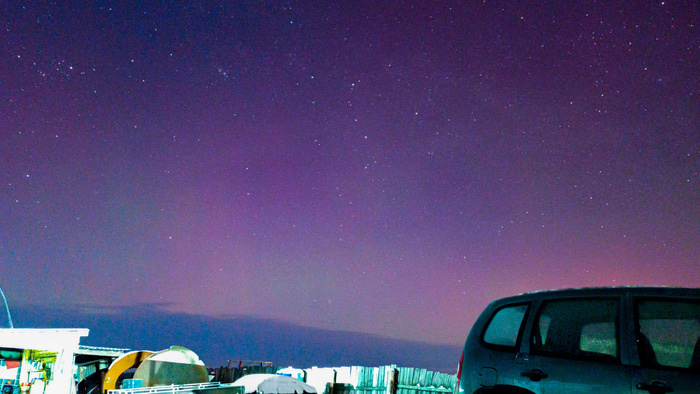    Фото: t.me/sargatskoeomsk