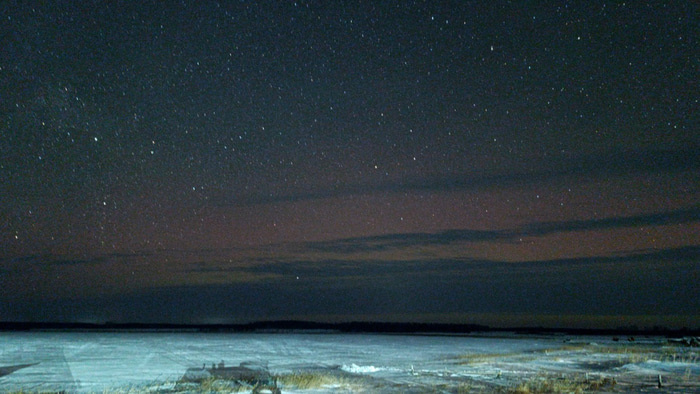    Фото: t.me/sargatskoeomsk