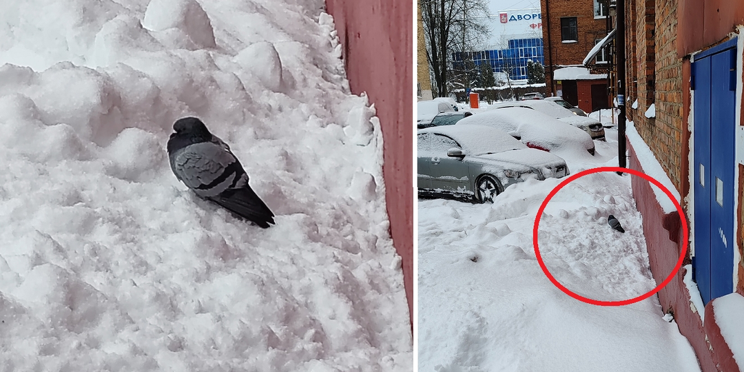 Важно понимать, что происходит в твоей жизни.
