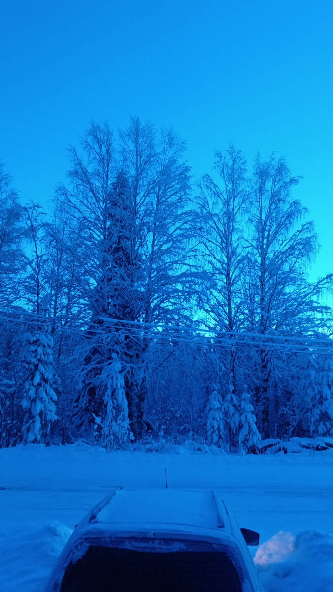 фото автора: собираемся домой в город