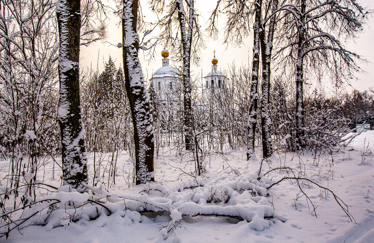 Церковь Спаса Всемилостивого (Спасская церковь) в бывшем селе Спасское-Телешово. Солнечногорск, Московская область. Фото автора статьи