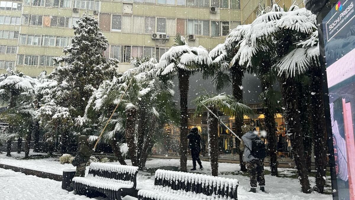    Фото t.me/mcusochi