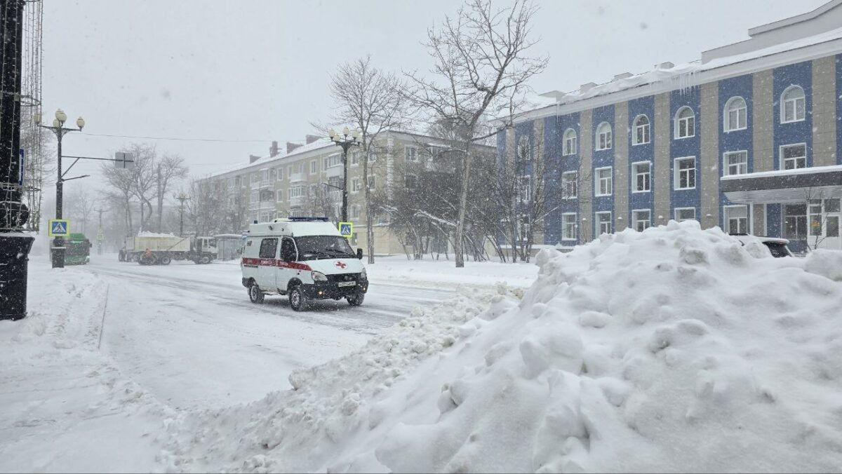    Метель, скорая, зима Наталья Краснова