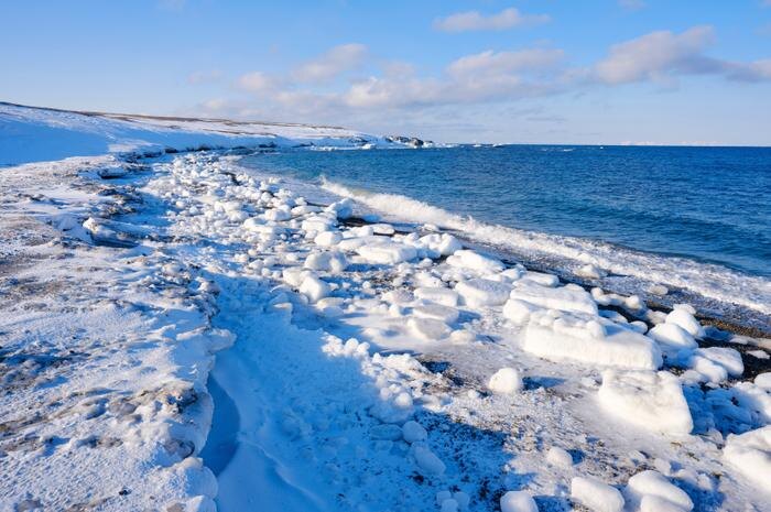 Обложка © Shutterstock / FOTODOM / Danita Delimont