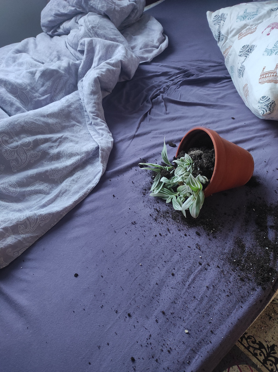 Кажется, стирочка намечается