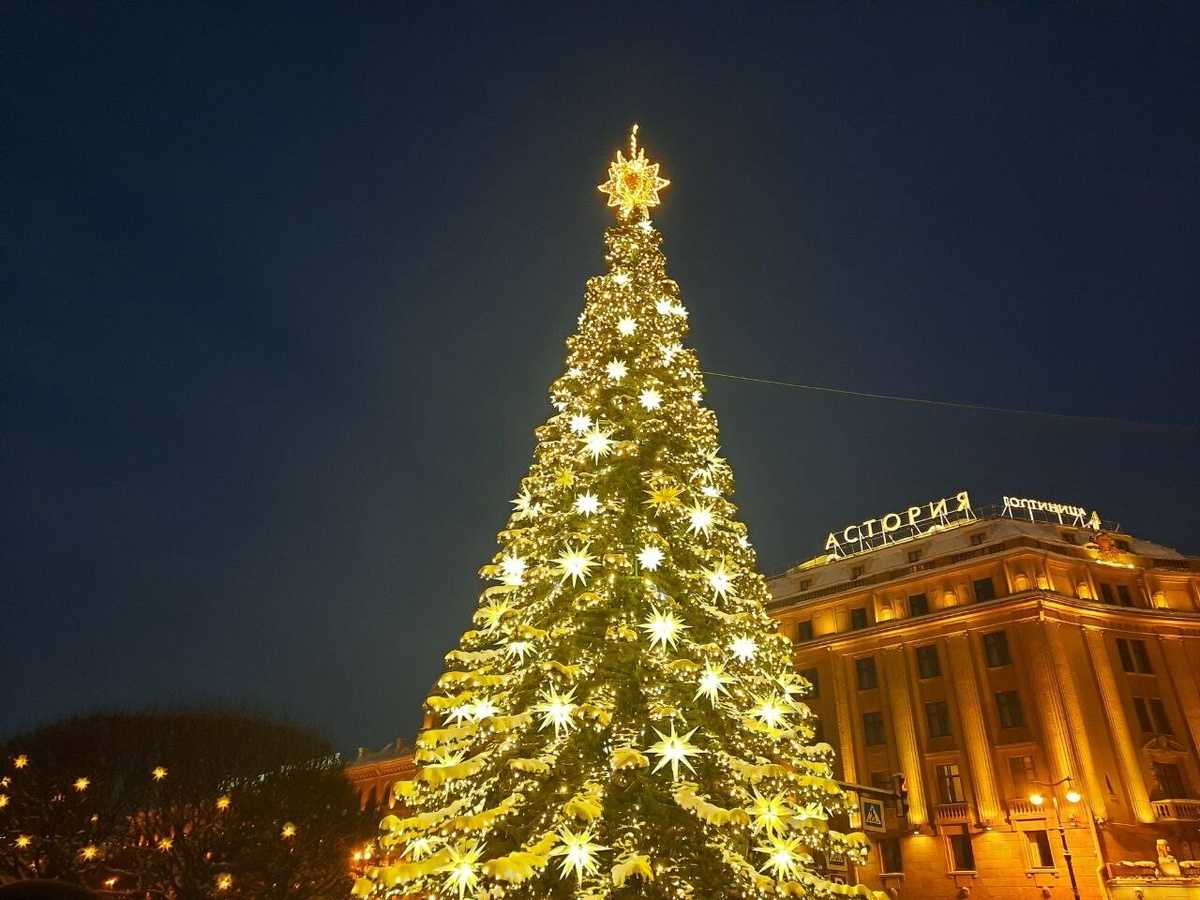     Фото: Бриф24