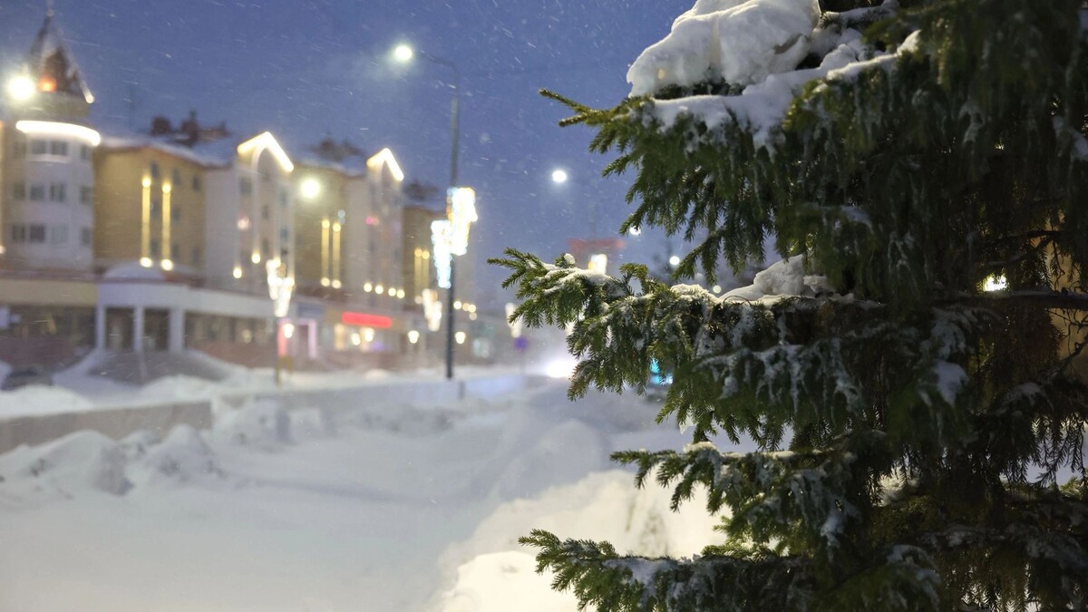    Фото: Андрей Ткачев / «Ямал-Медиа»