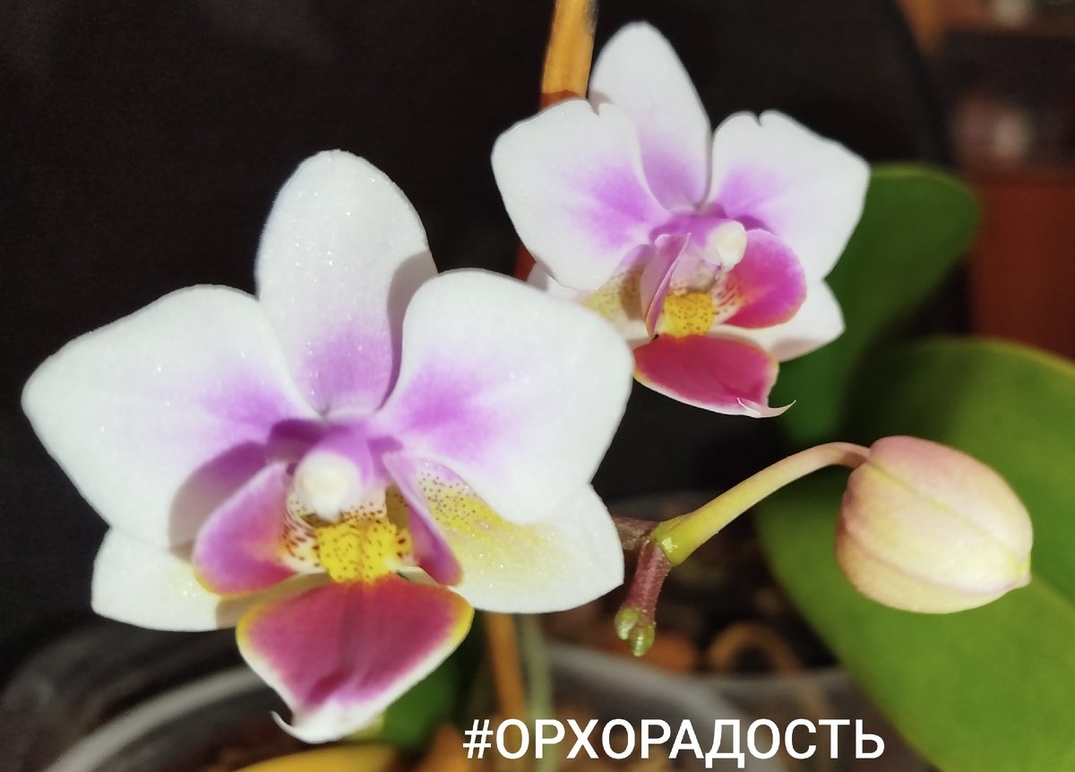 23 января 2024