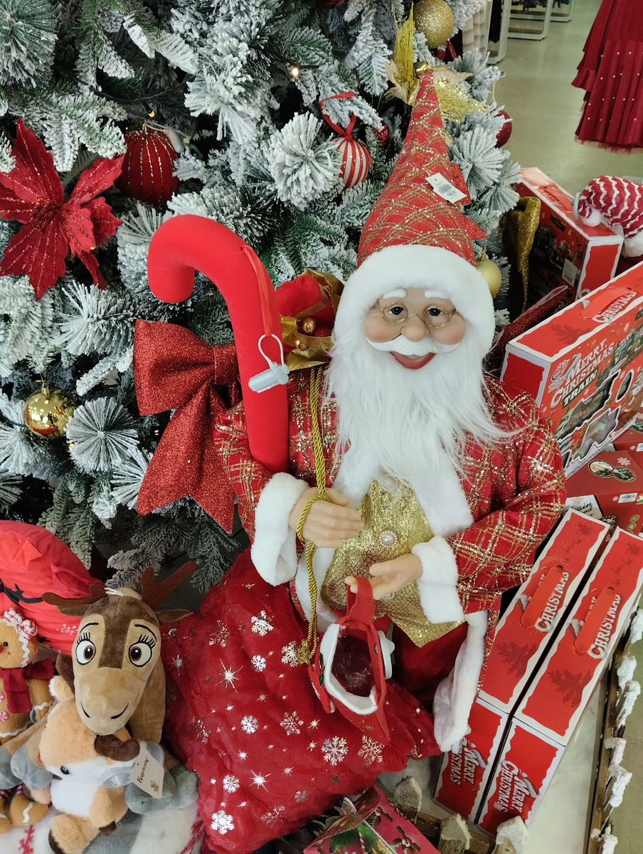 Фото принадлежит автору