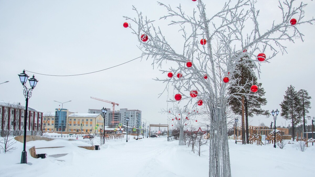    Фото: Юрий Здебский / «Ямал-Медиа»