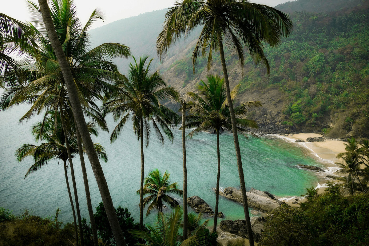 На берегу можно загорать, купаться, кататься на яхте и сёрфить. Фото: Chirayu Sharma / Unsplash