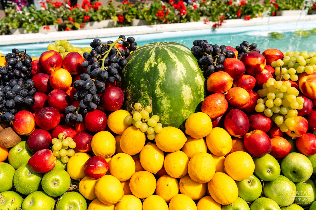 Фото: © Салават Камалетдинов / «Татар-информ»